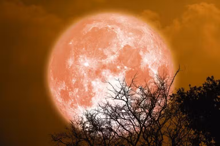lua do esturjão