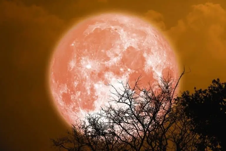 lua do esturjão