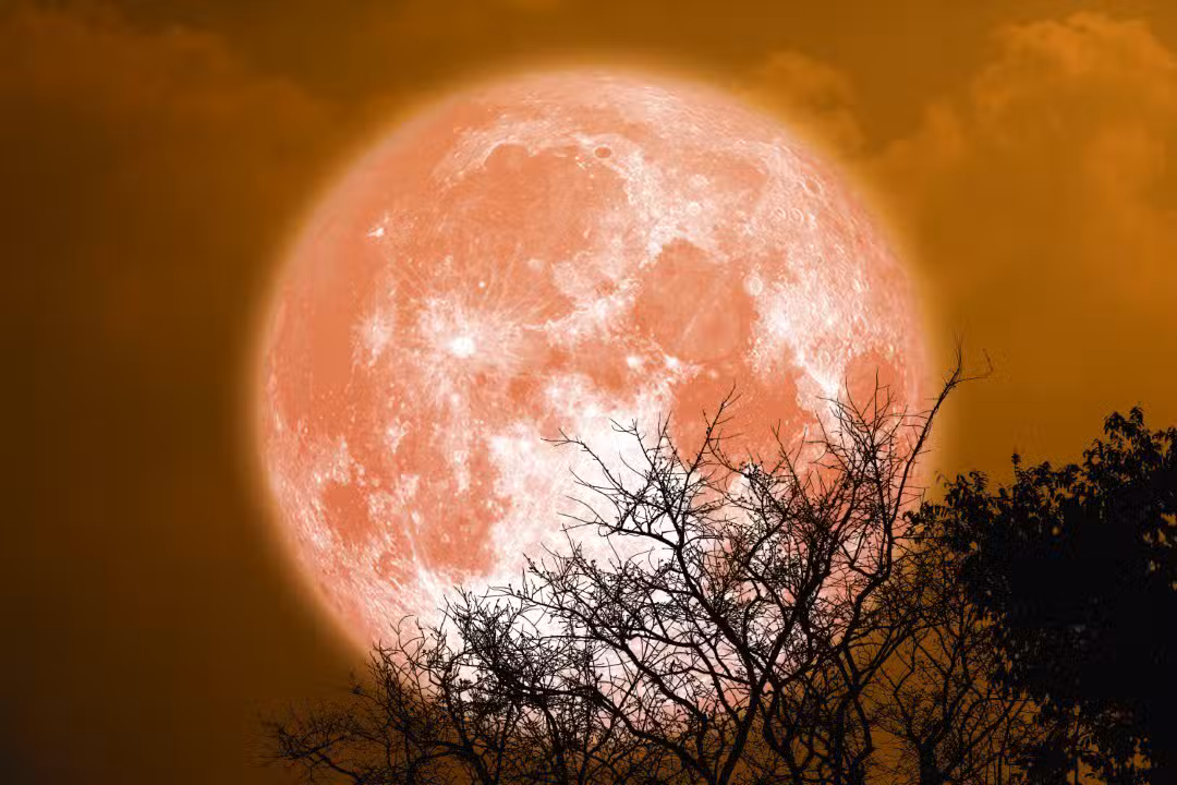 lua do esturjão