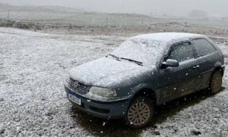 neve carro