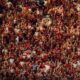 flamengo