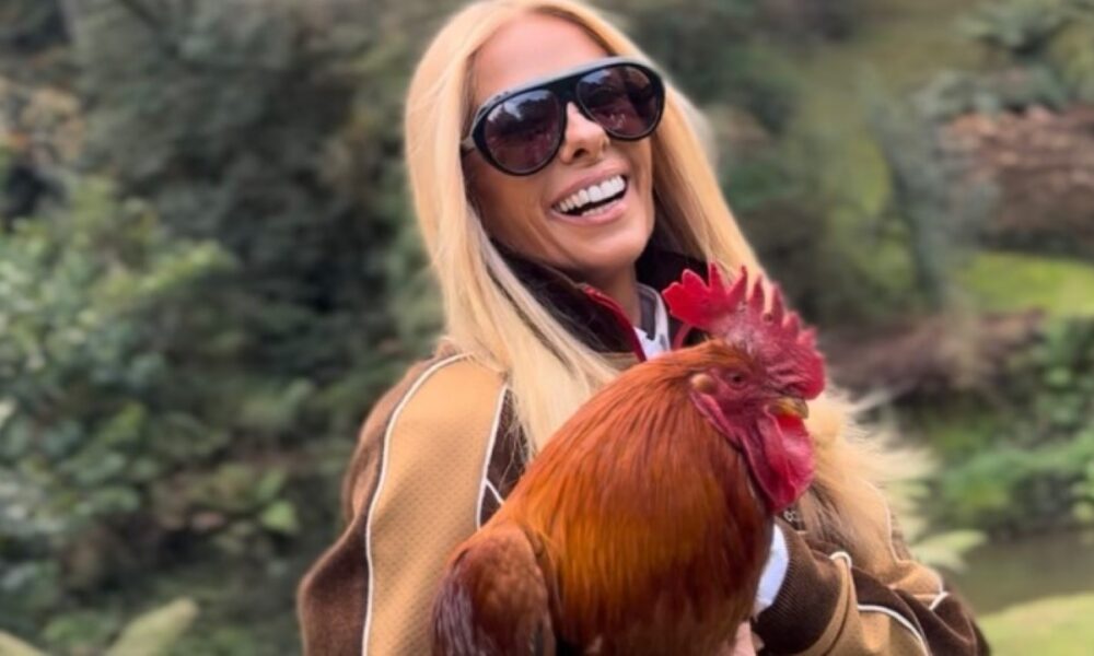 Adriane Galisteu revela nomes cotados para A fazenda 17, que estreia em 15 de setembro