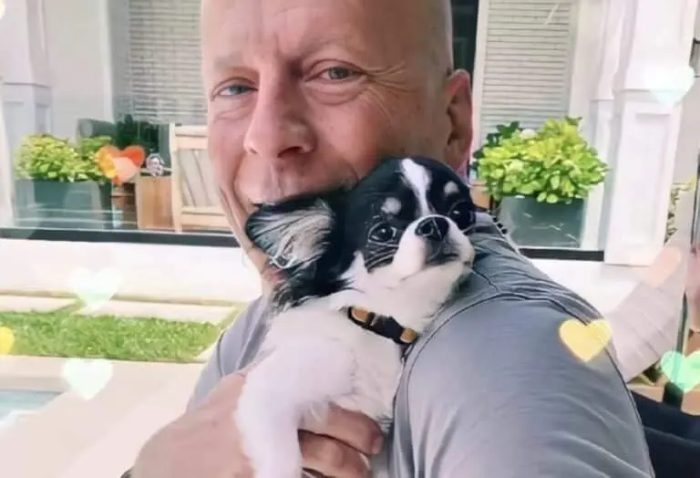 Bruce Willis