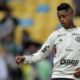 Bruno Henrique