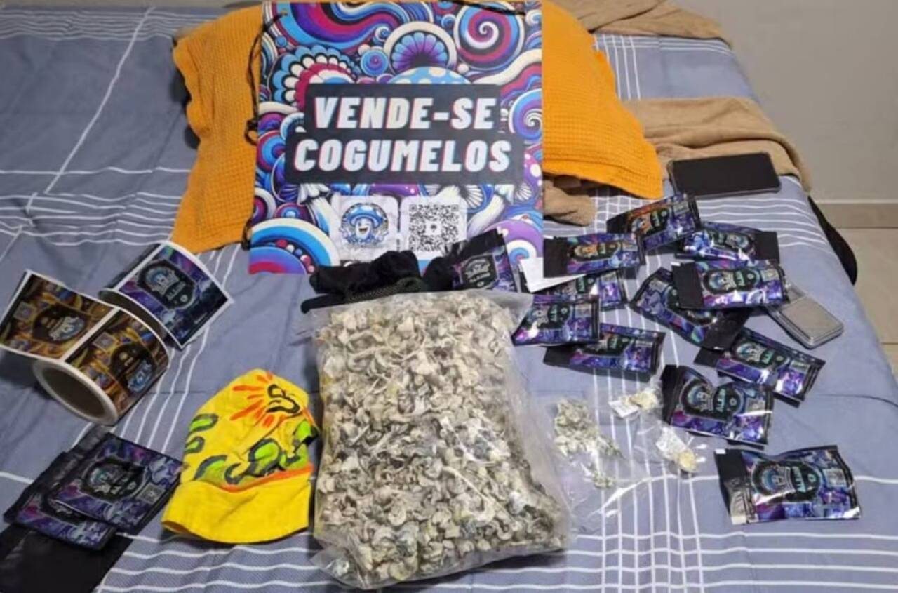 COGUMELOS VENDIDOS