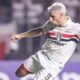 Calleri
