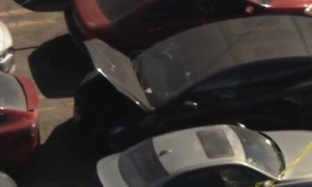 Coprpo dentro de carro