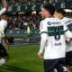 Coritiba