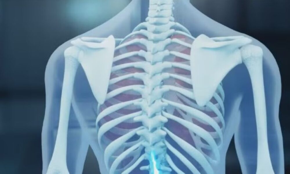 Leipzig University targets GPR133 receptor to rebuild bone