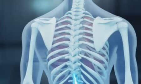 Corpo humano