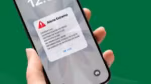 Defesa Civil: veja como ativar os alertas de risco direto no celular