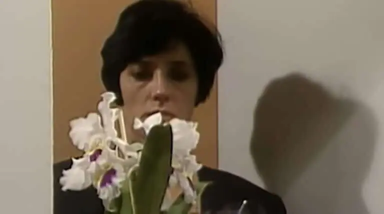 Diná recebe orquideas em 'A Viagem'