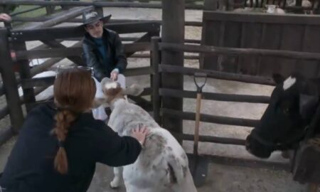Controversy in A Fazenda 17: Dudu Camargo accused of harming calf, sparking criticism