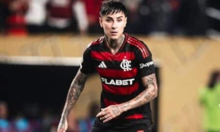 Erick Pulgar