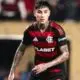 Erick Pulgar