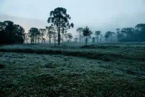 Serra Gaúcha registra -1,9°C com onda de frio intenso no Rio Grande do Sul