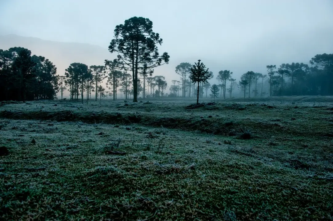 Frio, geada