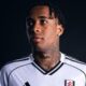 Fulham FC