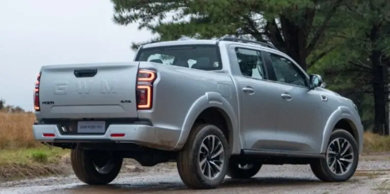 GWM Poer P30 -
