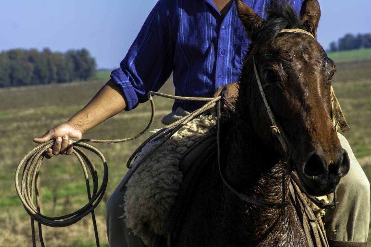 Gaucho