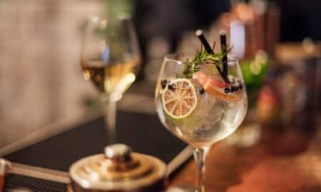 Gin Frutado e Tônico