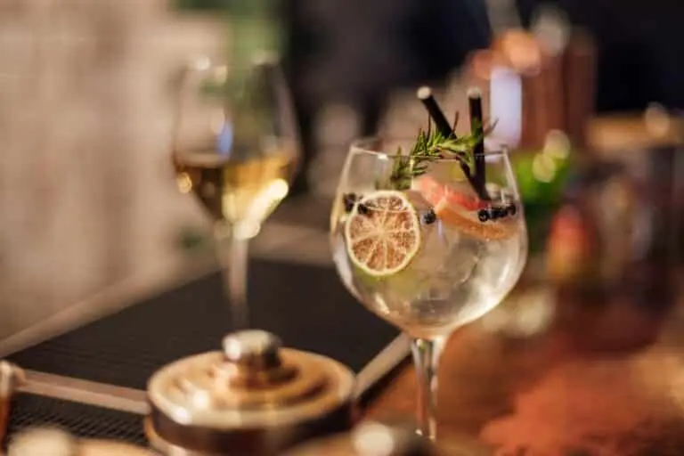 Gin Frutado e Tônico