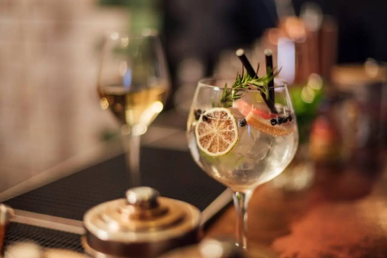 Gin Frutado e Tônico