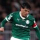 Gustavo Gomez Palmeiras