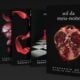 Livros da saga crepúsculo