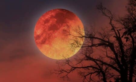 Lua de sangue