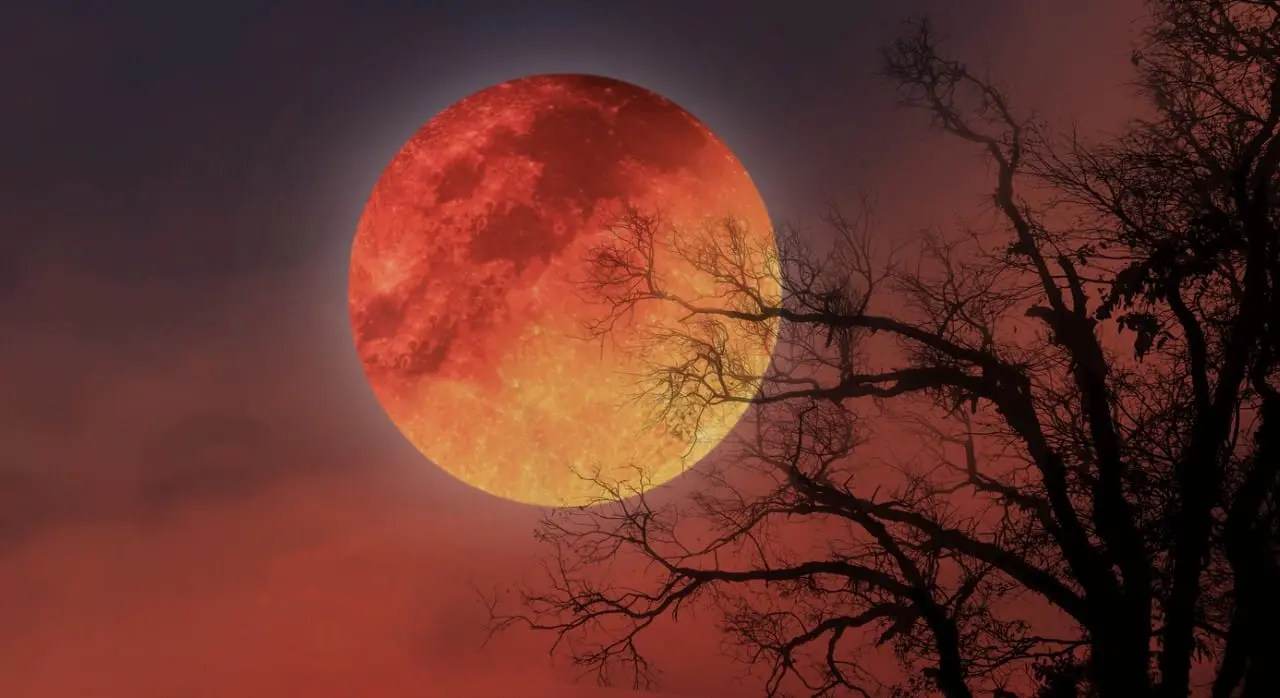 Lua de sangue