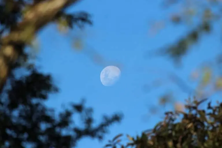 Lua minguante
