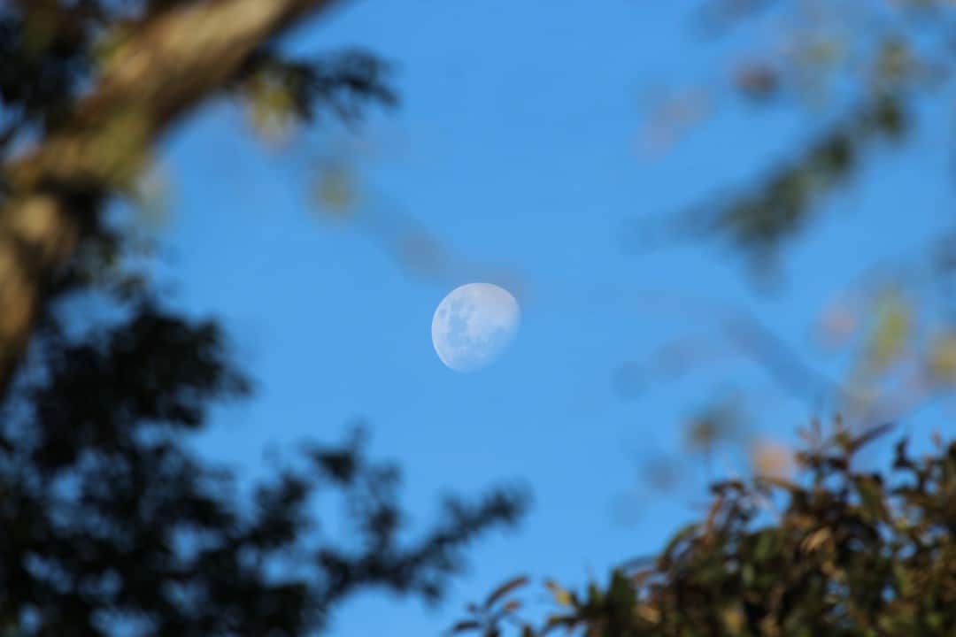 Lua minguante