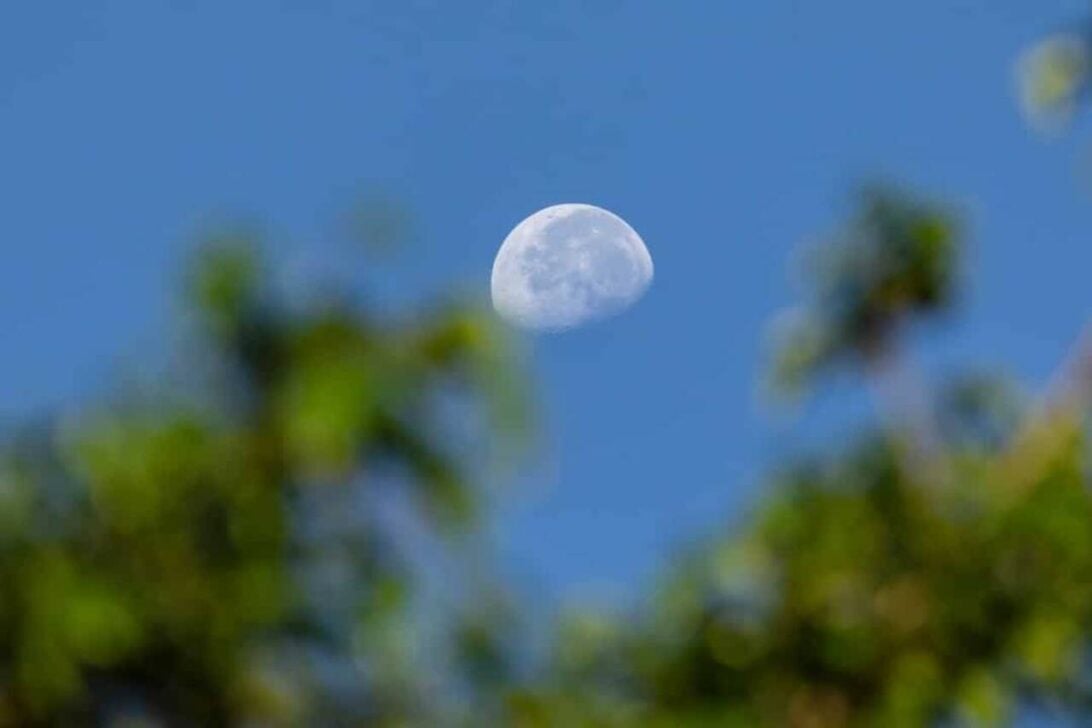Lua minguante