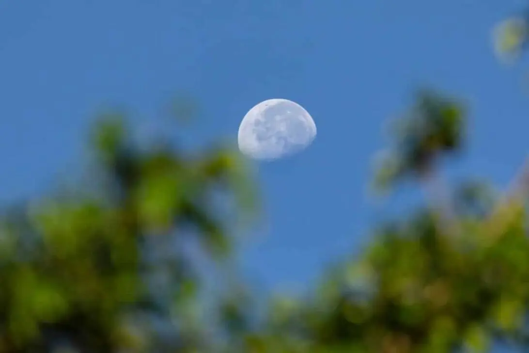 La luna menguante y Júpiter brillan juntos en el cielo nocturno este 7 de diciembre en conjunción visible