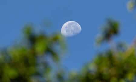 Lua minguante