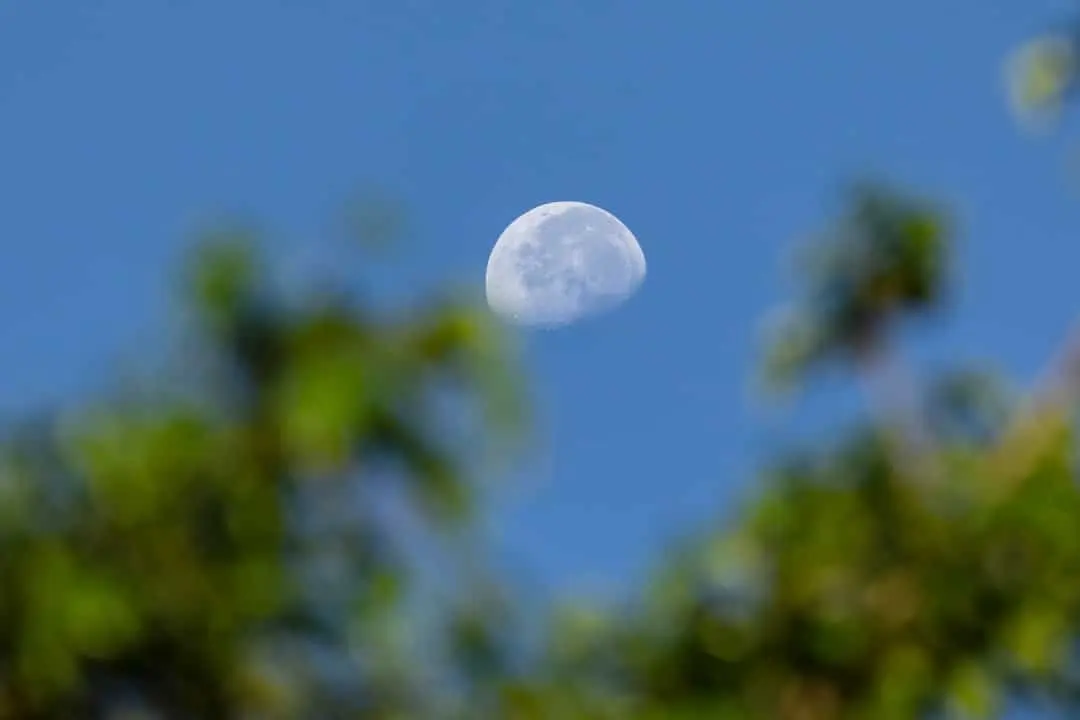 Lua minguante