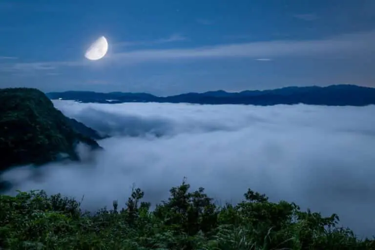 Lua minguante, neblina