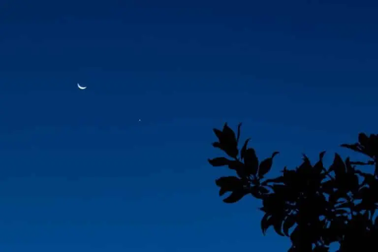 Lua nova