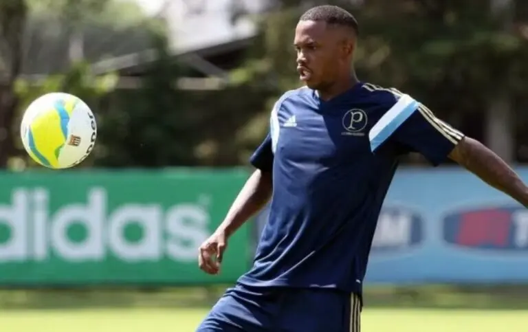 Patrick Vieira Palmeiras