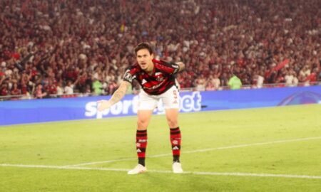 Pedro Flamengo