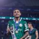 Riquelme Fillipi Palmeiras