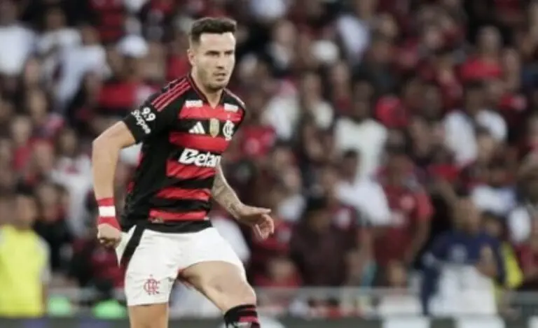 Saul Flamengo