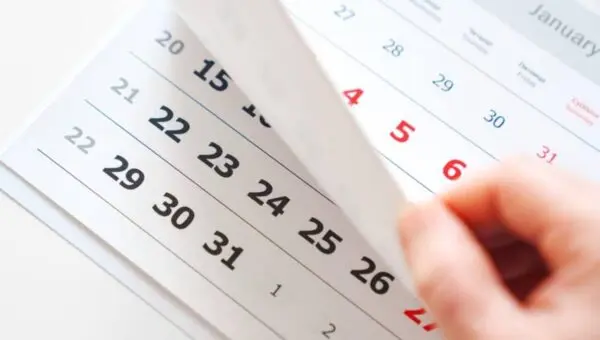 calendário, feriado