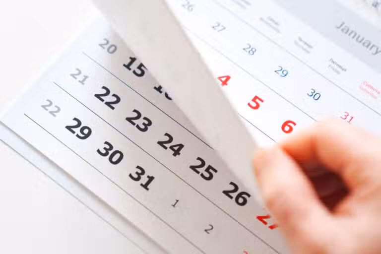 calendário, feriado