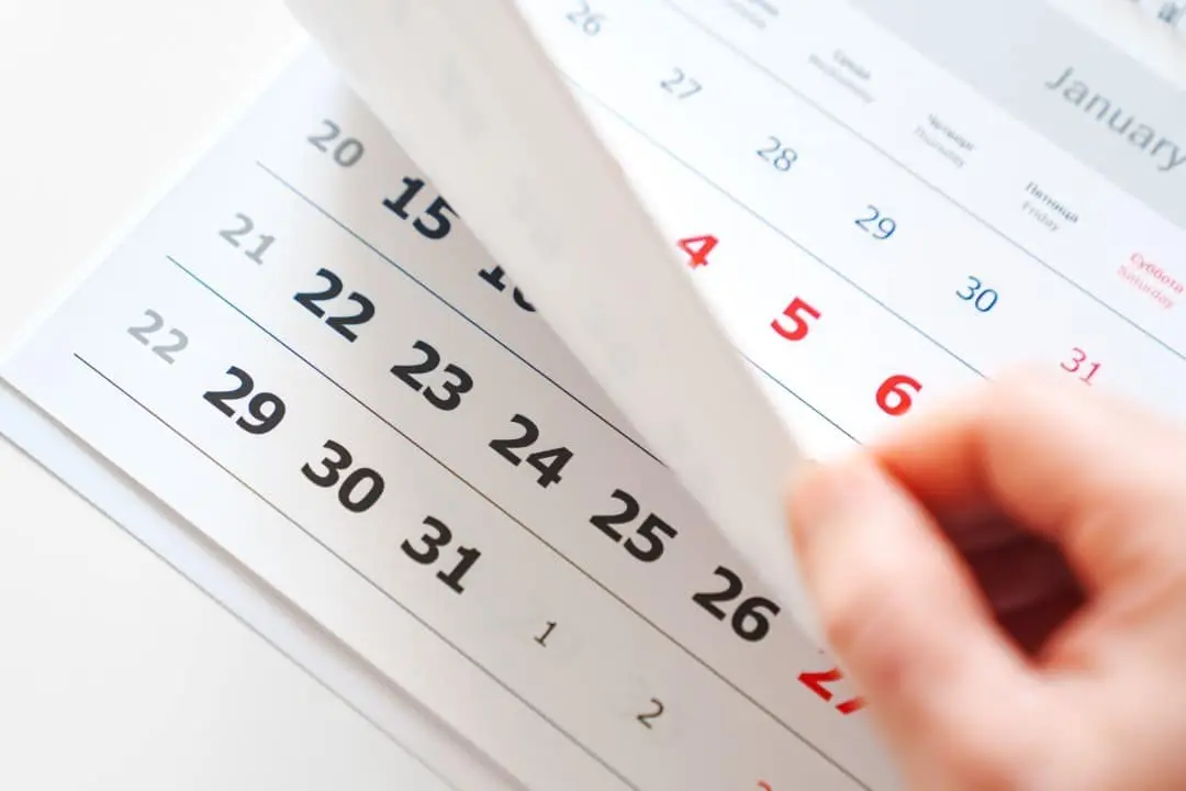 calendário, feriado