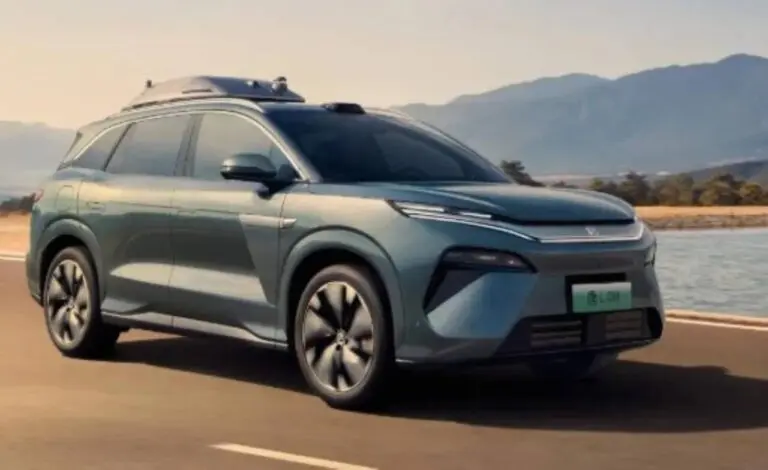 BYD Tan L
