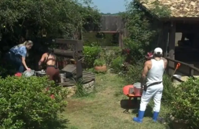 Briga a Fazenda