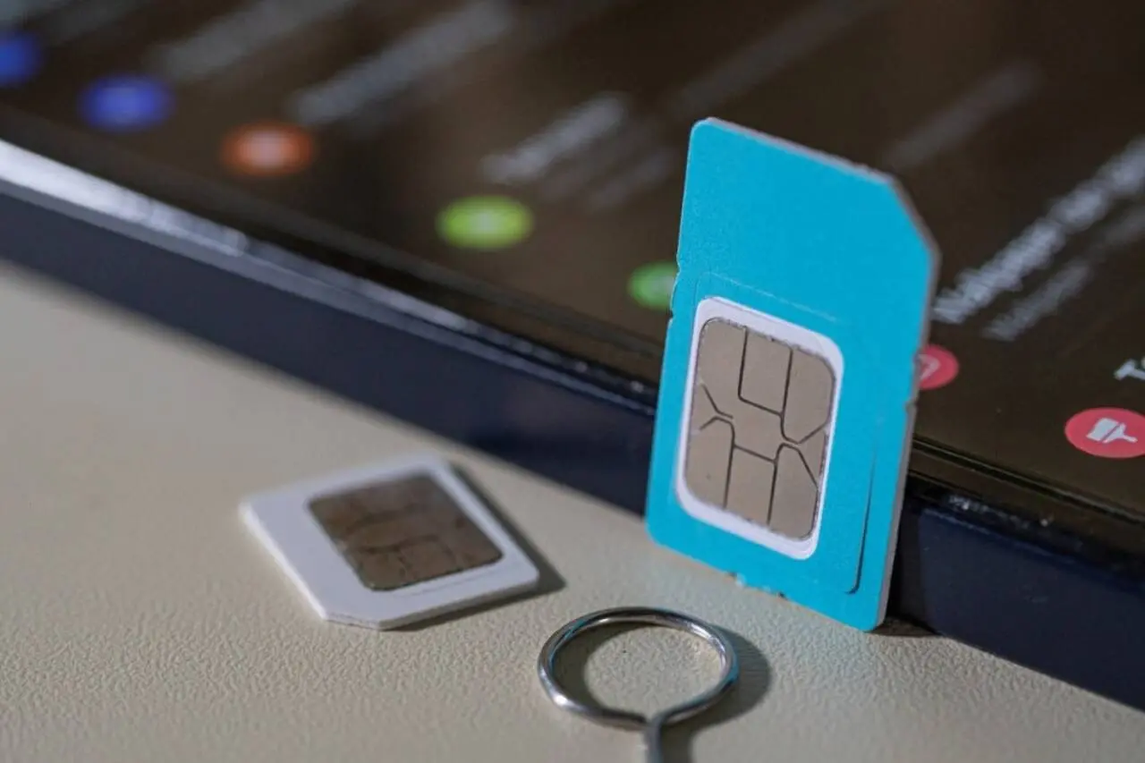 Chip, microchip, celular