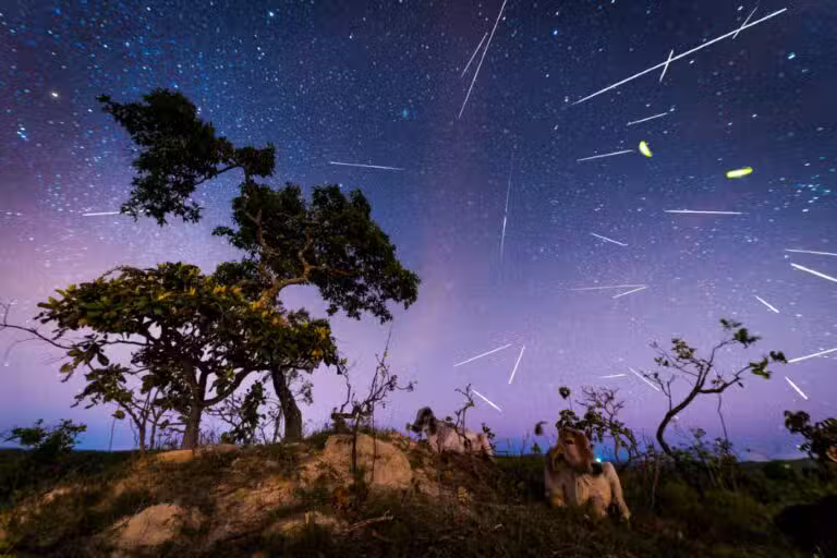 Chuva de meteoros